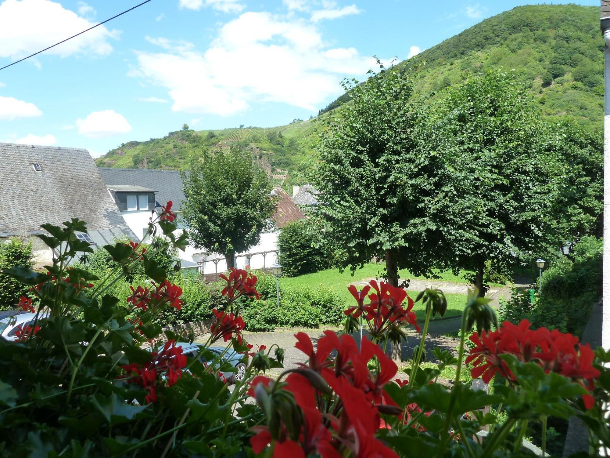 Bed & Breakfast Alte Weinstuben Steinfelder Hof Garni